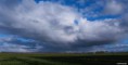 /album/kop-van-overijssel/img-0350-2-jpg/